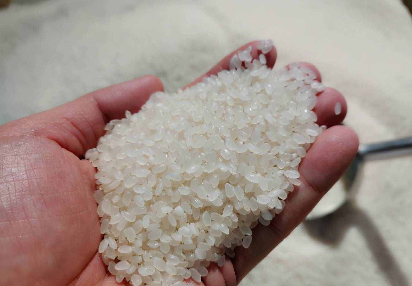 天热，保存大米有窍门，教你3个土方法，不长虫不发霉，新鲜好吃