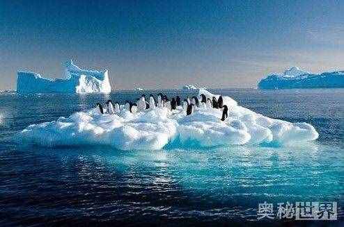 南极洲十大世界之最