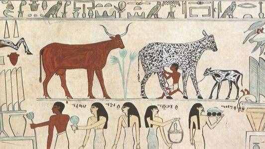牛年说牛——世界上关于牛的神话传说