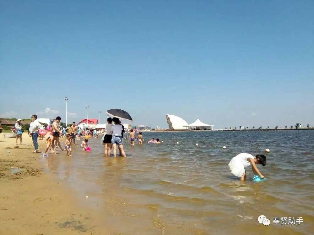 上海奉贤区旅游景点攻略（史上最全）