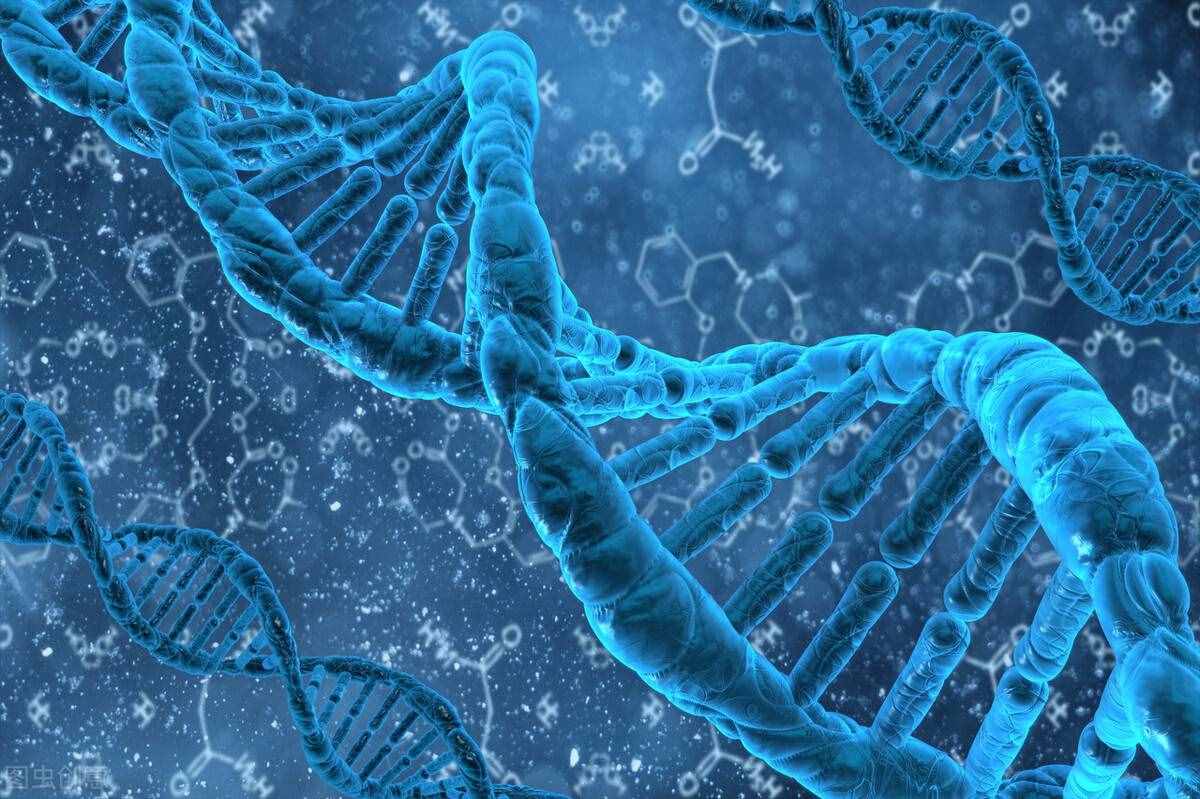 先父遗传是真是假？留在你身体里的DNA，到底来自于谁？