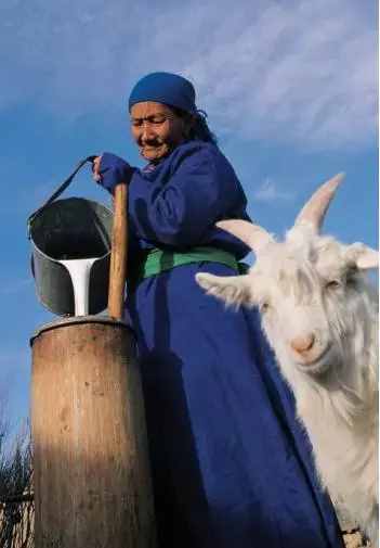 蒙古族的饮食习惯，也是非常讲究的
