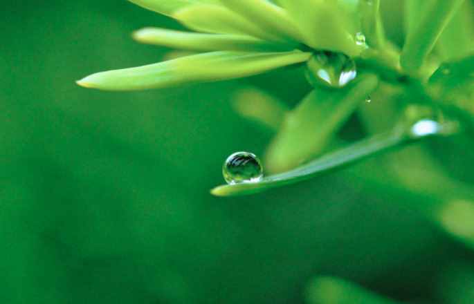 散文：午后的雨