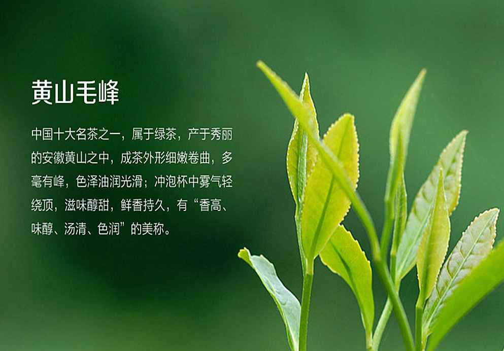 十大名茶安徽占4种，为何没成为第一茶叶大省？徽茶处于什么地位