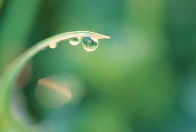 散文：午后的雨