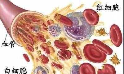 导致红细胞升高的原因有哪些，肝、肾、心、肺问题都有可能