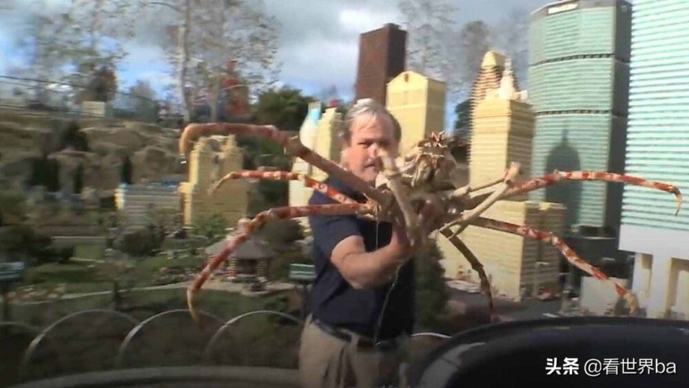 世界上体型最大的螃蟹，形似蜘蛛可达4米长，也叫“杀人蟹”