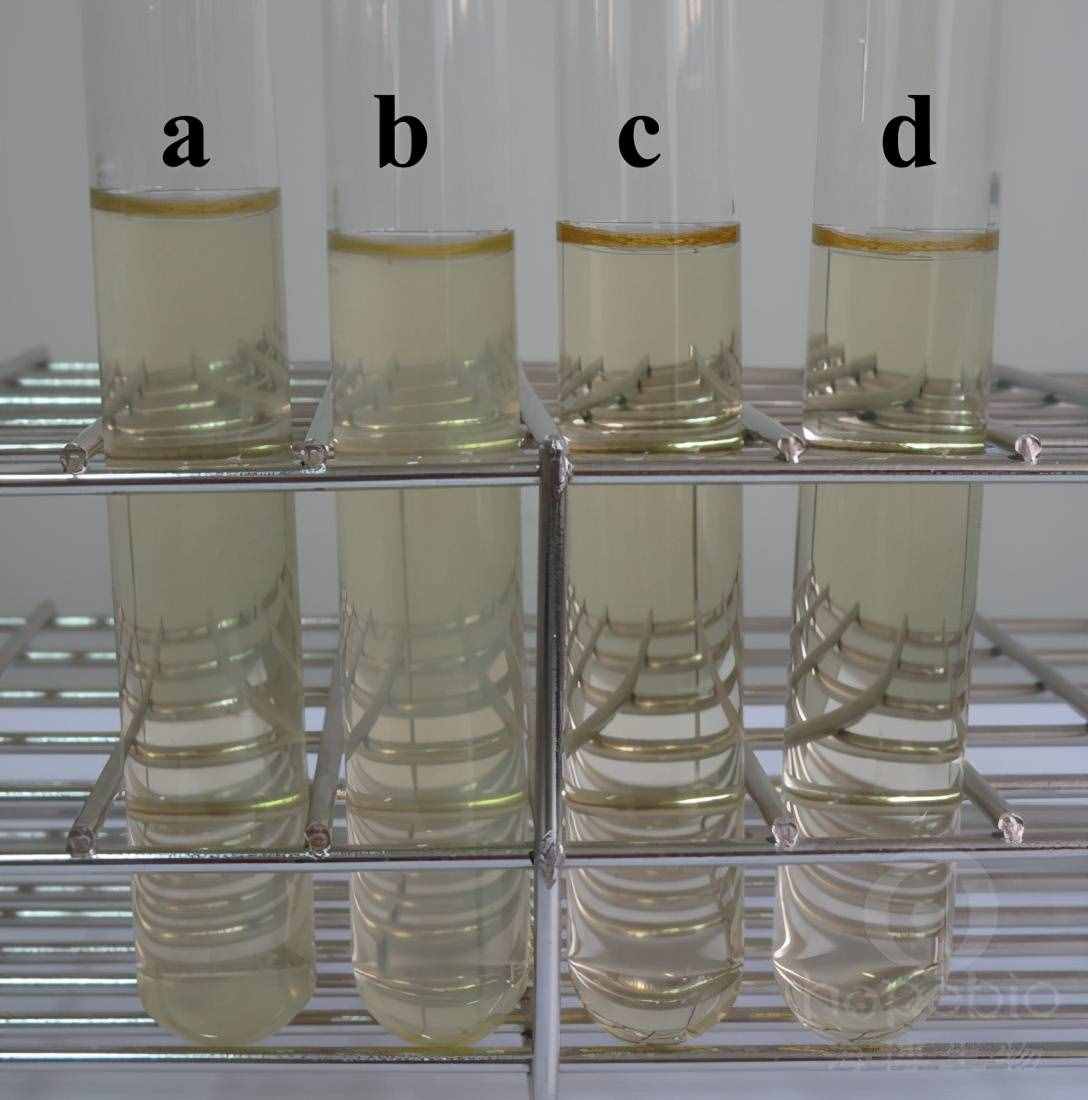 金黄色葡萄球菌定性检验的简单介绍