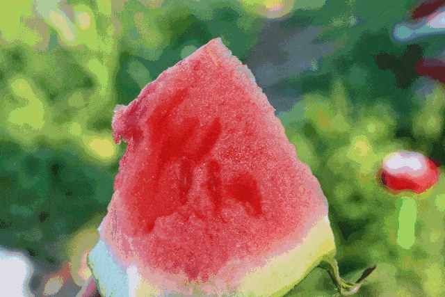 一个西瓜热量能顶6碗米饭？吃西瓜能瘦身？看完这个你就知道了
