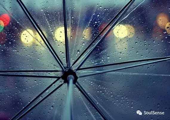 「赶快收藏」全球最有格调品位的雨伞排名，随便一把都是艺术品