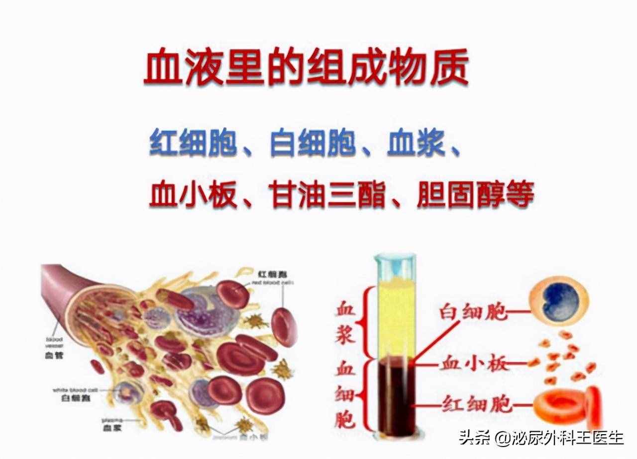 前列腺增生是怎么引发的？有什么表现？如何治疗与预防？