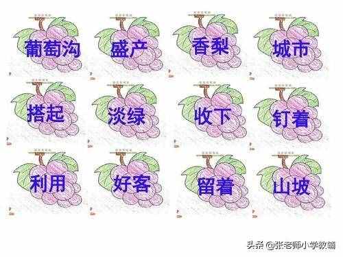 二年级语文上册《葡萄沟》精美教案教材分析，教学目标，教学方法