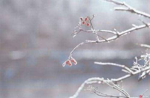 冬至诗词描写冬至唯美的短句子 有关冬至名人名言微信祝福图