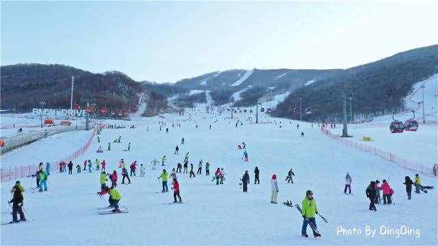 冬季国内几个最佳滑雪胜地，东北的好还是新疆的雪质好？