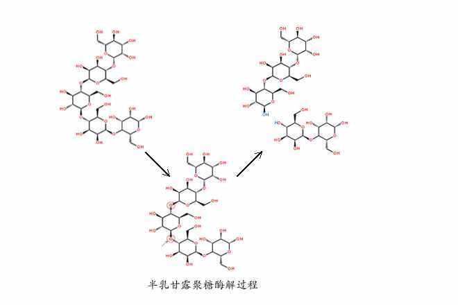 甘露聚糖酶的饲用应用