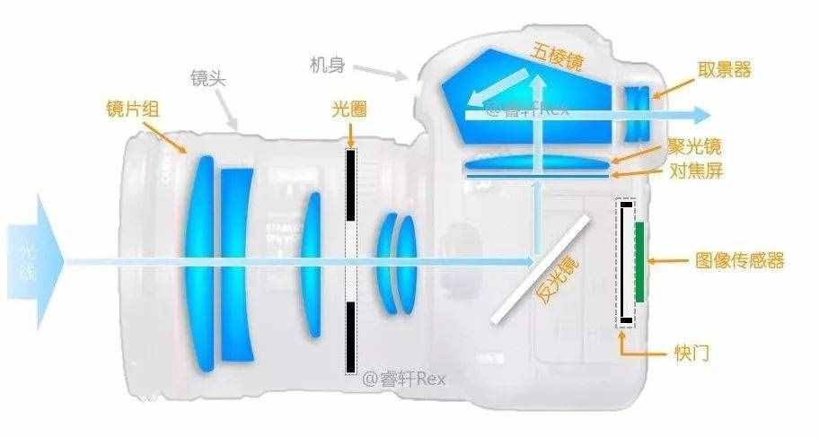 单反单反，到底什么是单反？