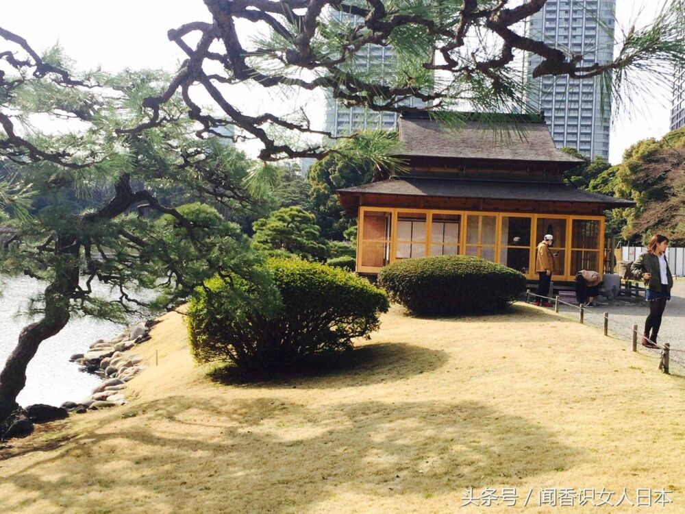 东京滨离宫恩赐庭园，一座在都市中遗世独立的庭园