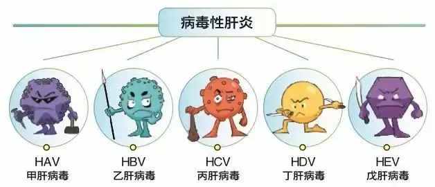 病毒性肝炎有哪些类型？怎么预防呢？记住这几点让你远离肝病