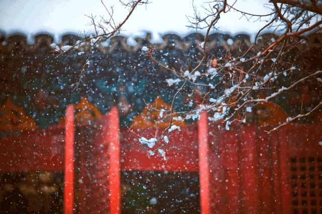 「诗词鉴赏」十首写雪的著名诗词，你最喜欢哪一首？