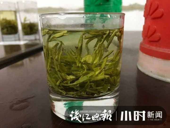 在杭州，喝一杯明前西湖龙井要多少钱？
