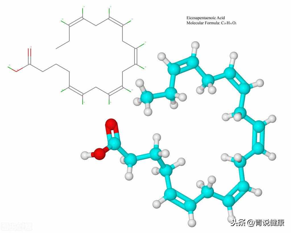 植物油、动物油哪一种吃多了危害更大