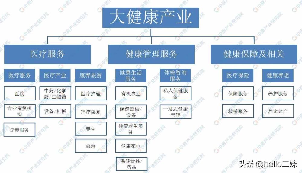 大健康产业之十大行业