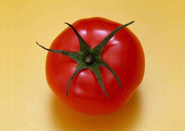 梳理西红柿发展史，为何人类早期"不敢"吃番茄