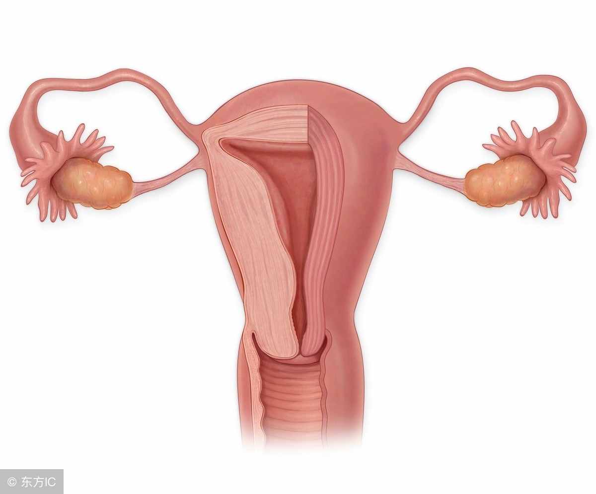 子宫内膜增厚的表现是什么，有哪些危害