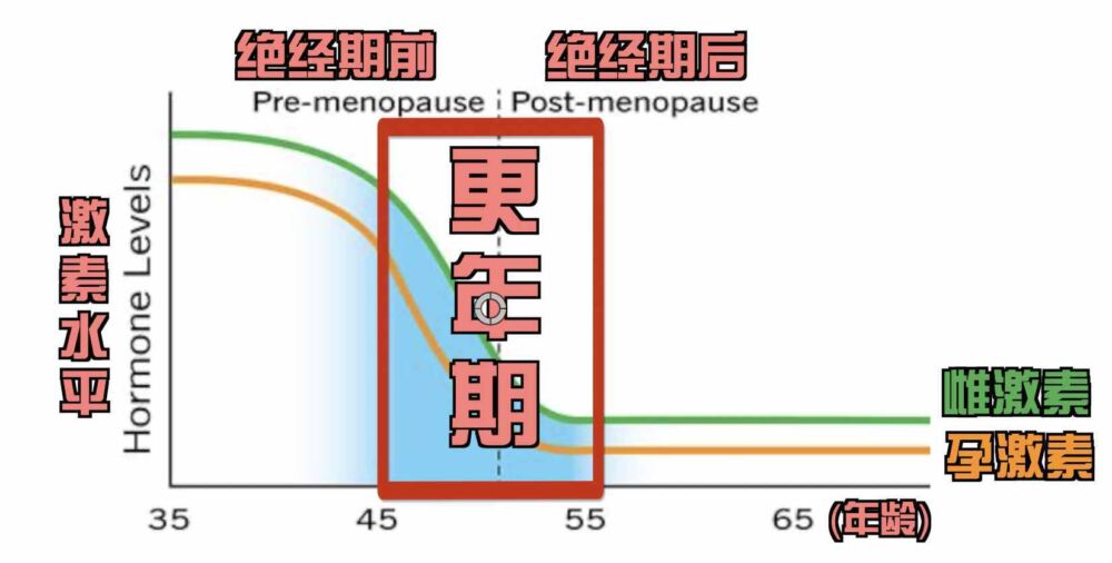 什么是更年期？女性为什么会经历更年期？