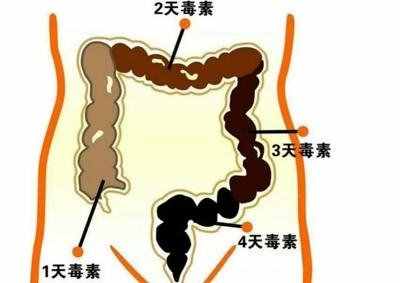 生活中的十大谣言，你中招了吗？