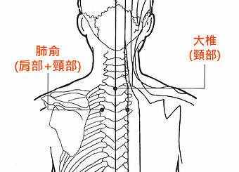 大椎穴位的准确位置图