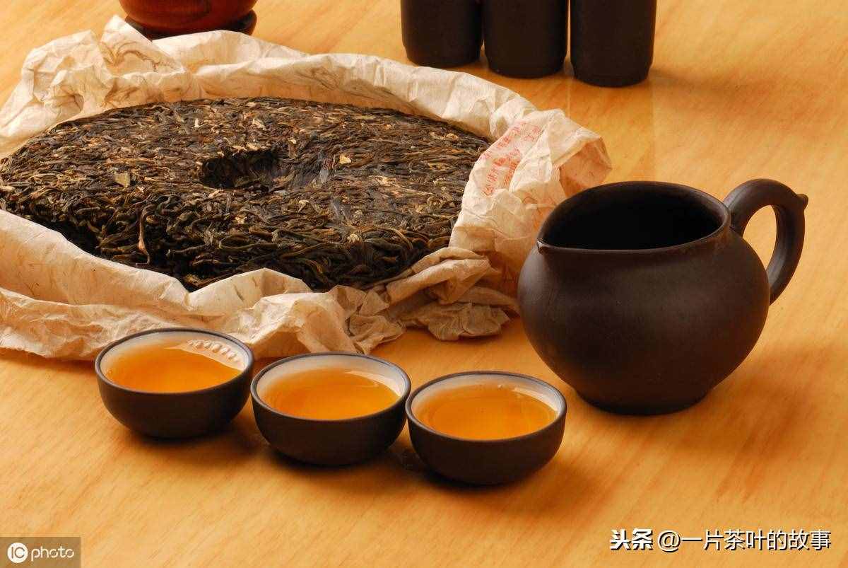 史上最全的普洱茶知识