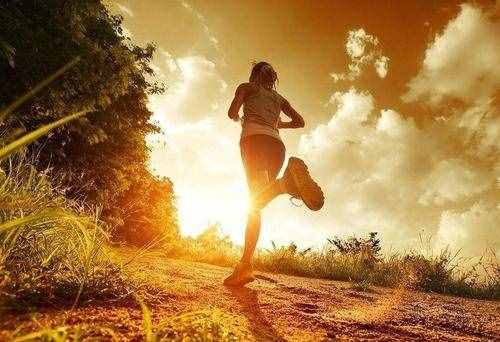 每天晨跑的好处是什么 能减肥吗