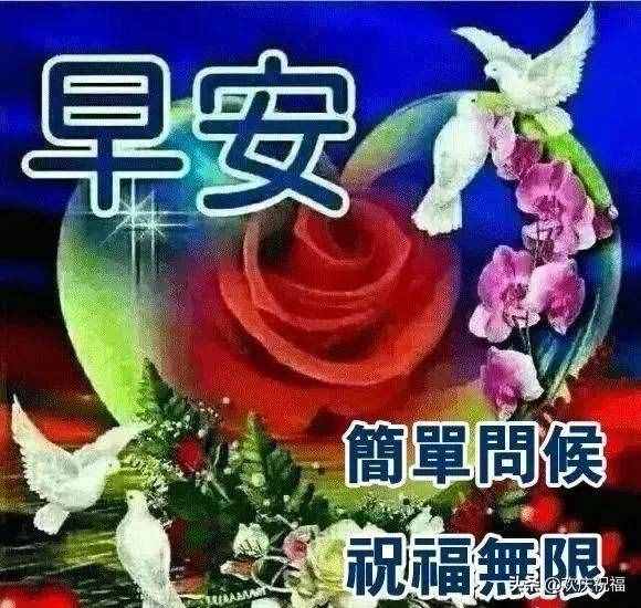 早上好问候语大全，早上好祝福语表情图片