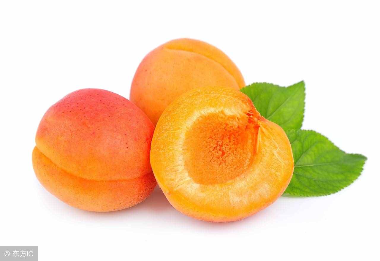 经常吃杏子对身体有什么好处，看你知道哪些？
