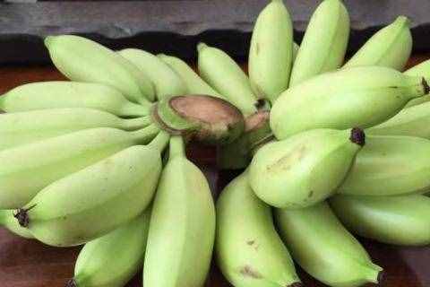 皇帝蕉价格多少钱一斤？产地是哪里？和普通香蕉有什么不同？