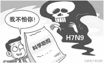 科学认识禽流感 H7N9不用怕