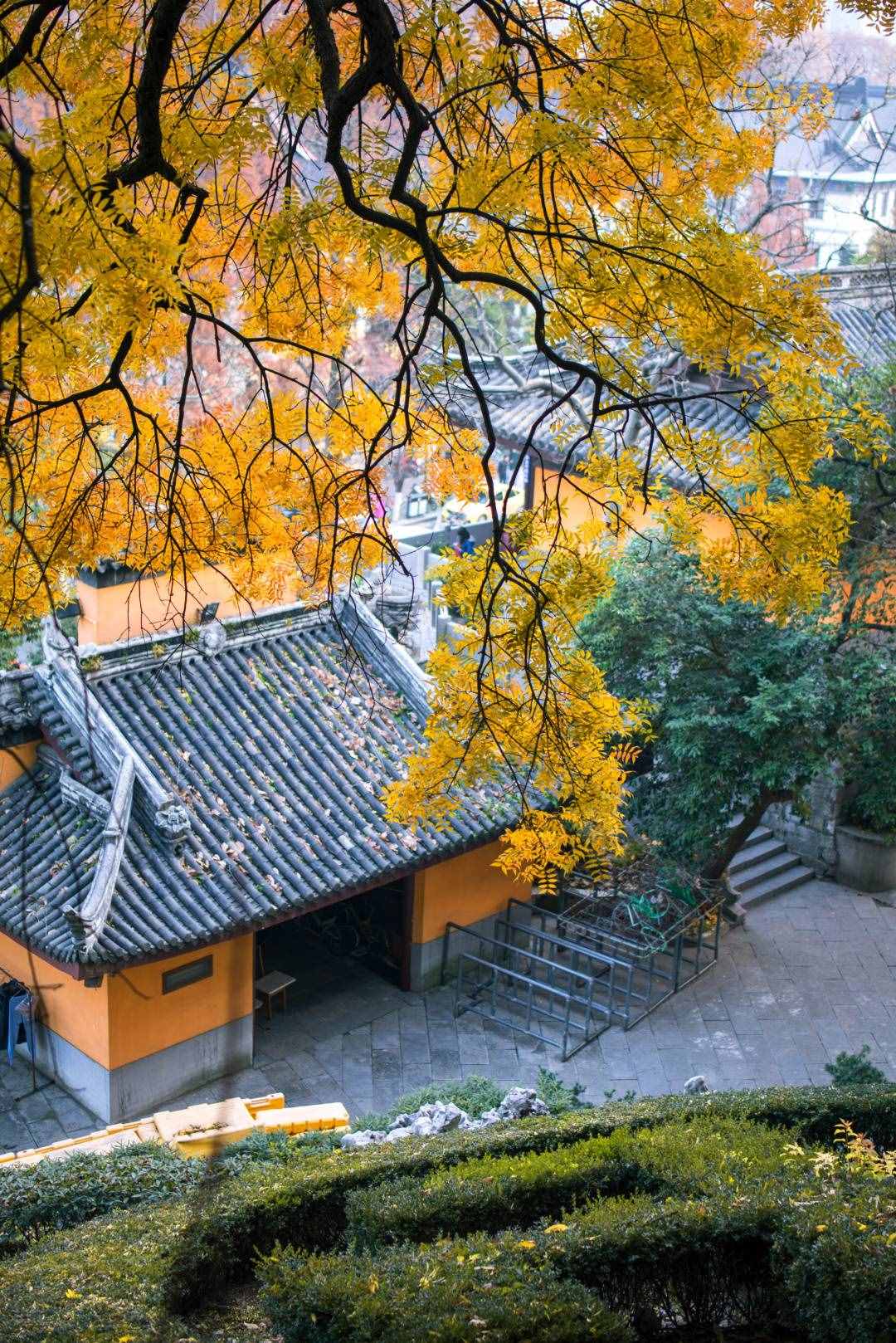 南京人气最高的3大寺庙，历史悠久，风景优美，是赏秋静心好去处