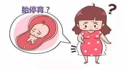 胎停育有什么征兆？胎停育后该怎么备孕？