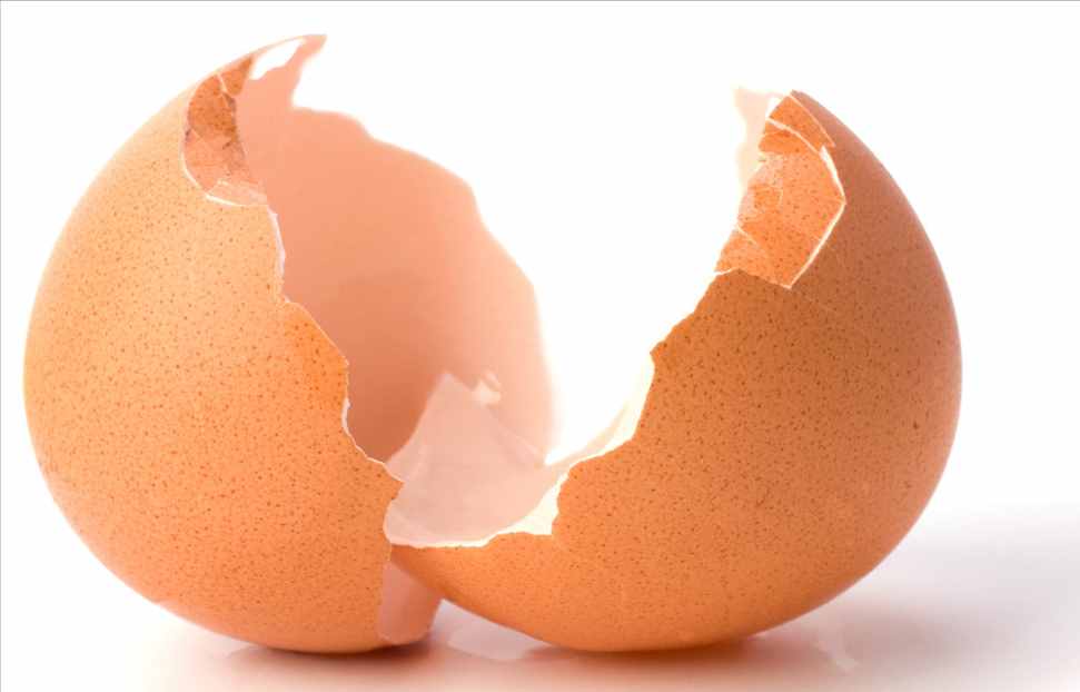 商店买回来的鸡蛋要不要洗干净？带你普及几个有关鸡蛋的小知识