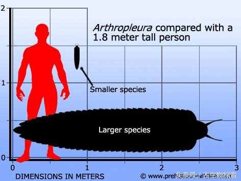 史前蜈蚣体长可达3米！