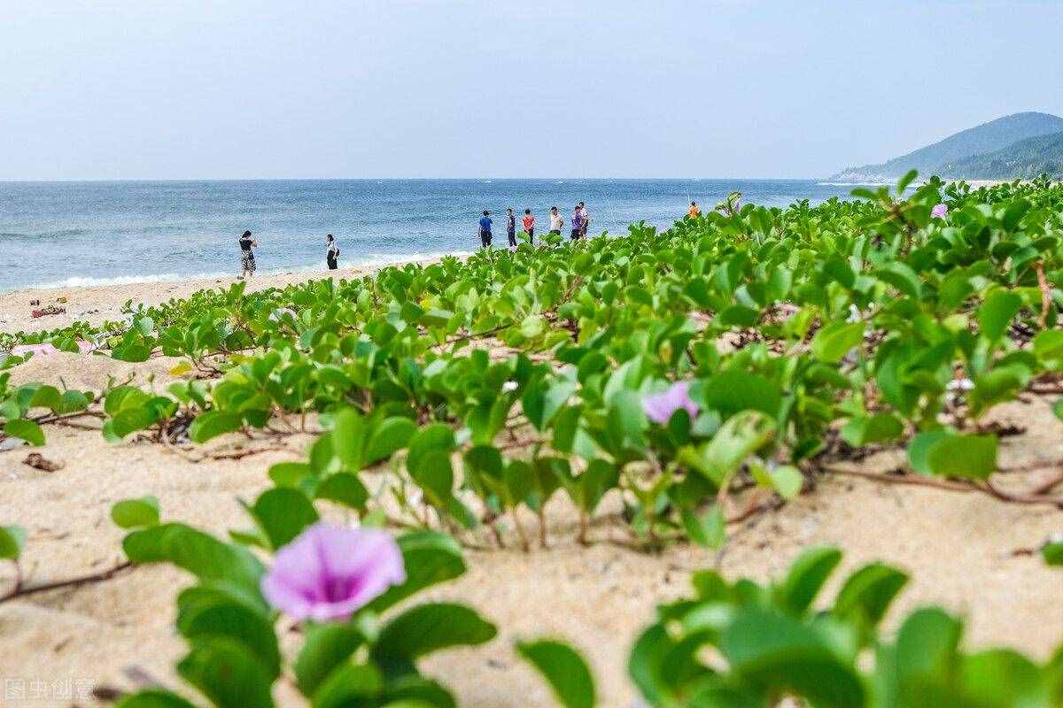 阳江海陵岛最值得去的十大海滩