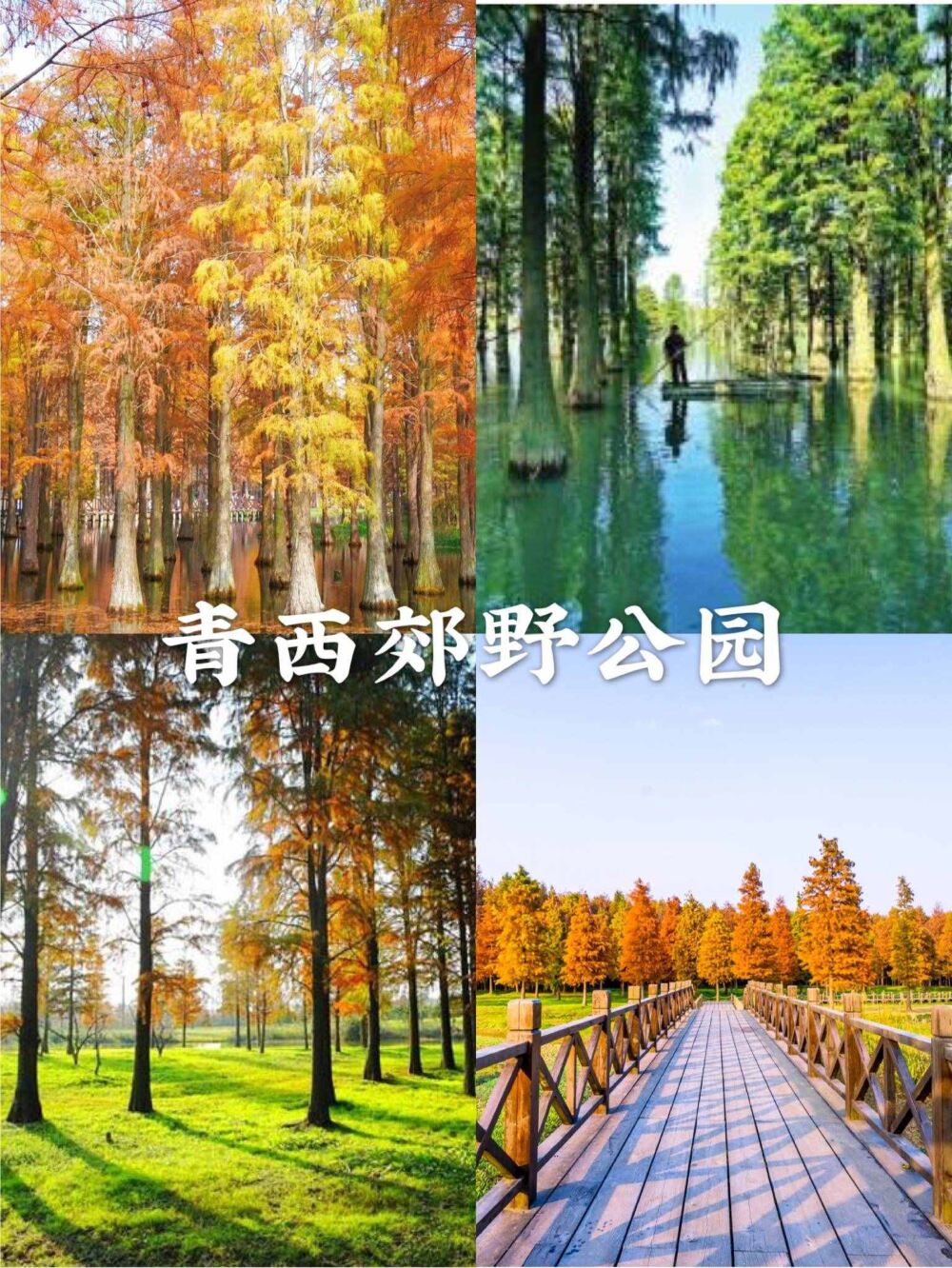 上海超好逛的8个公园，足不出沪赏美景
