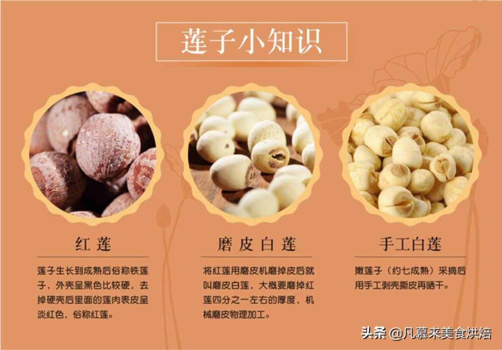 坚果类食品有哪些？25种坚果大全你都认识吗？坚果的吃法有哪些