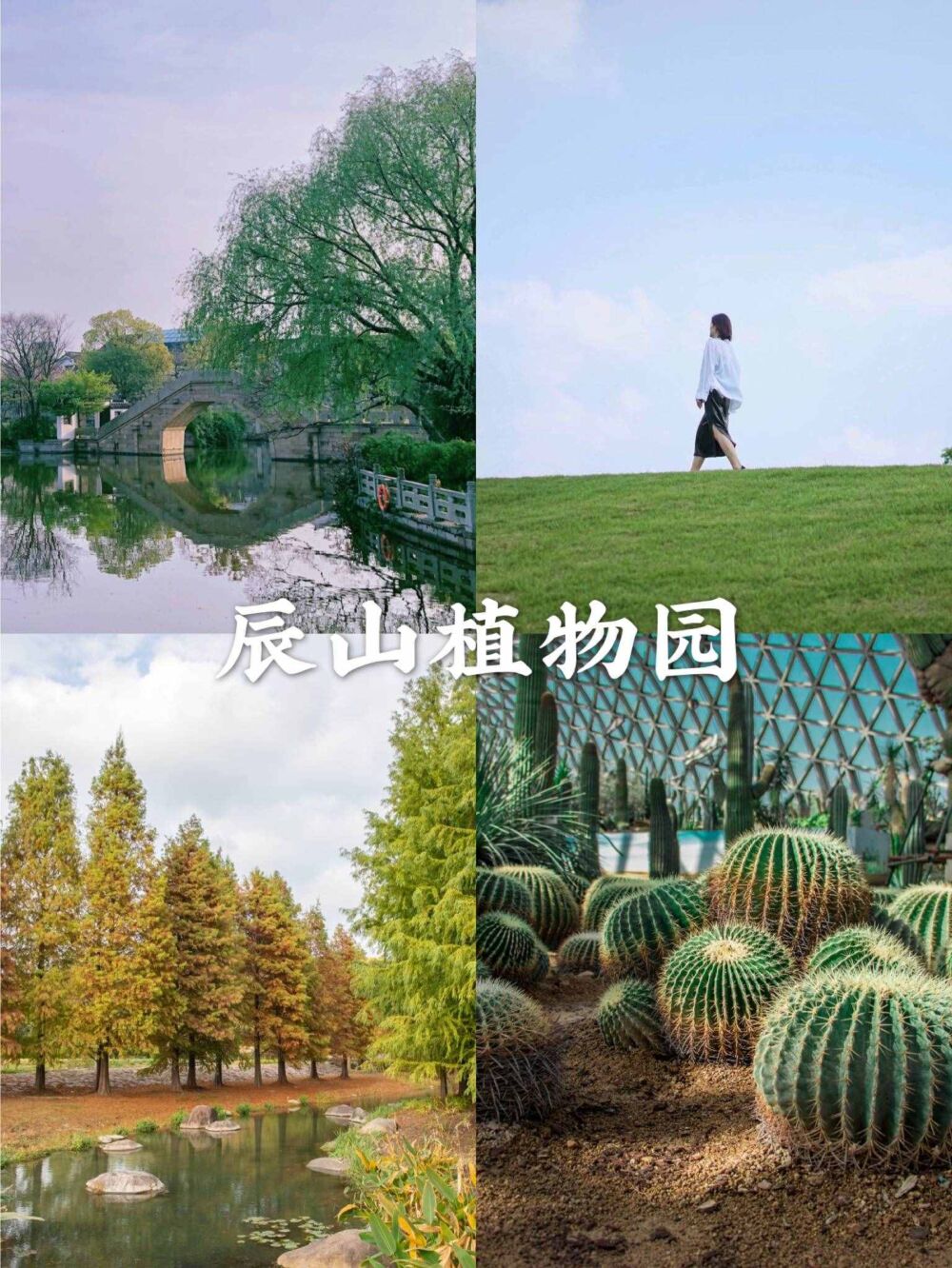 上海超好逛的8个公园，足不出沪赏美景