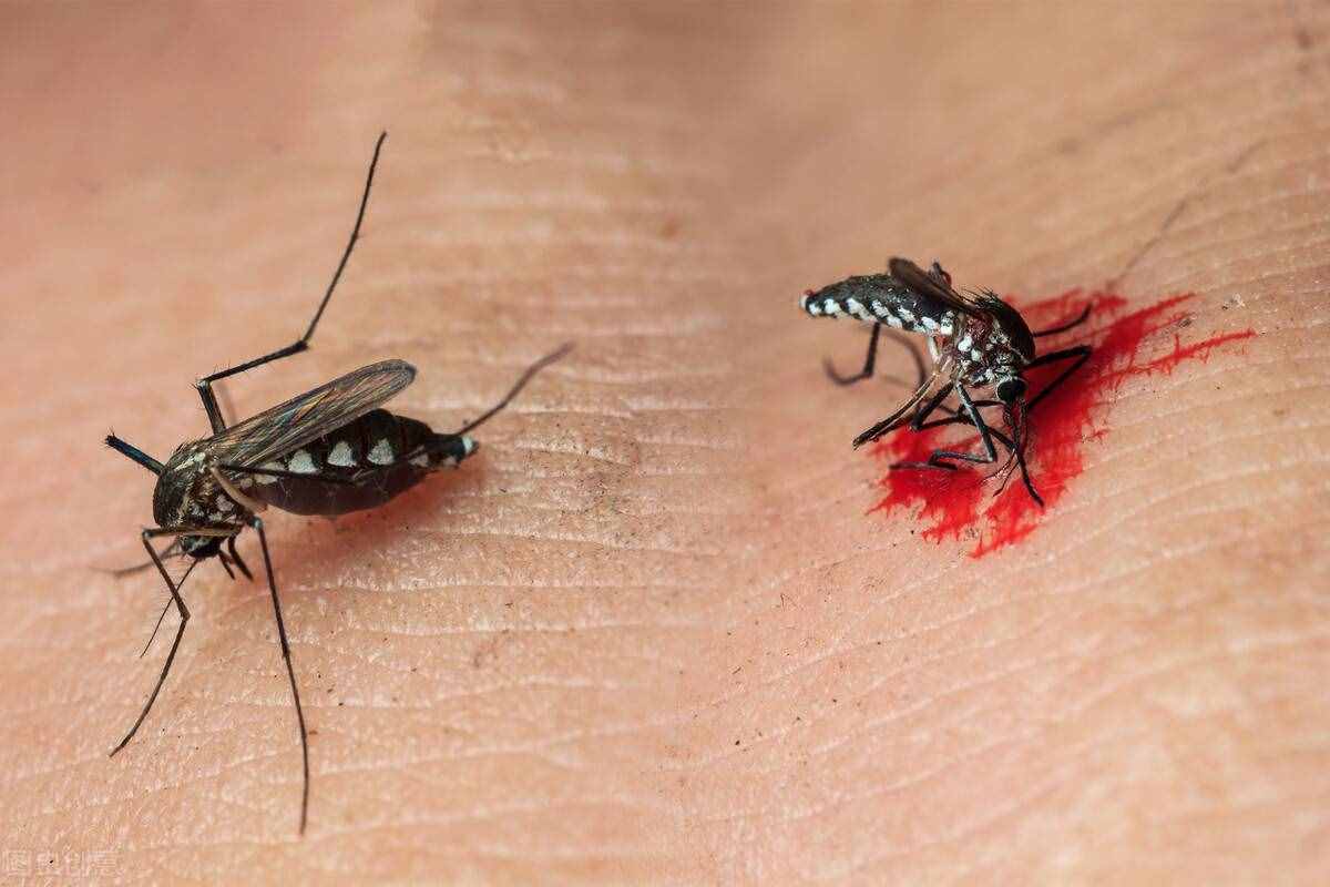 艾滋病来袭却当成皮肤病？有这4种表现别忽视了，提醒：蚊子叮咬真不会传播
