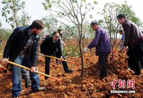 植树节手抄报内容50字资料简单点 植树节的由来诗句故事