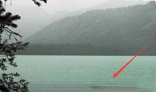 喀纳斯湖水怪真身？科学家认为“湖怪”可能是哲罗鲑