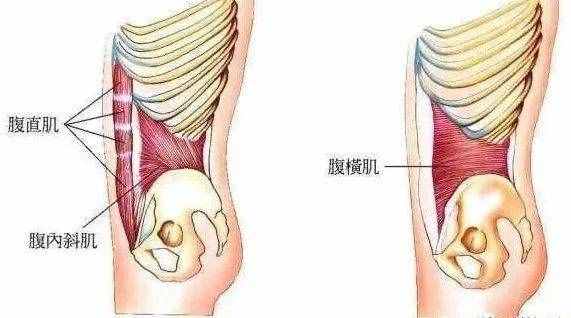 肚子胖的女生该如何减？找对方法减腹瘦腰并不是件很难的事