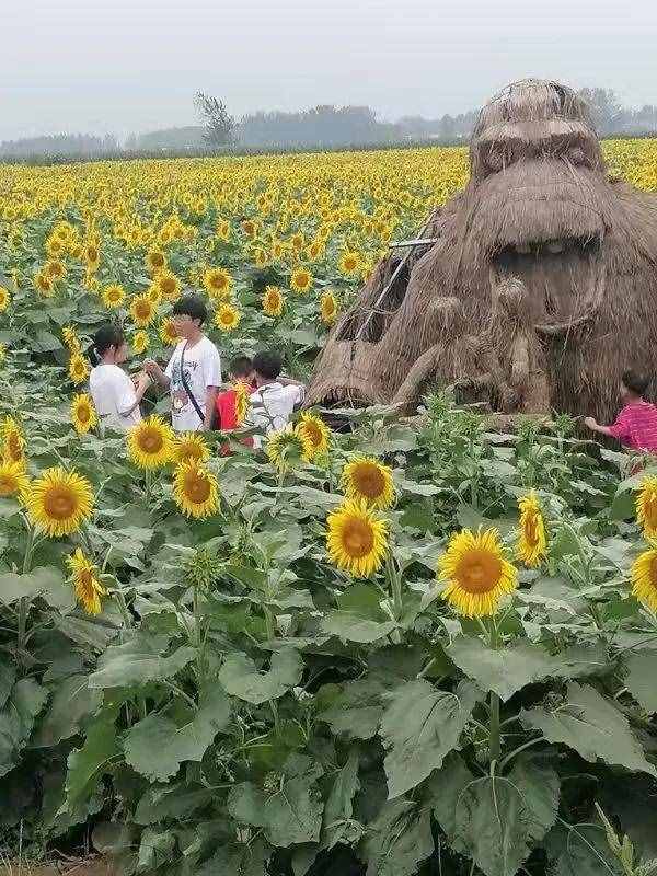 邓城镇生态旅游景点让我们流连忘返